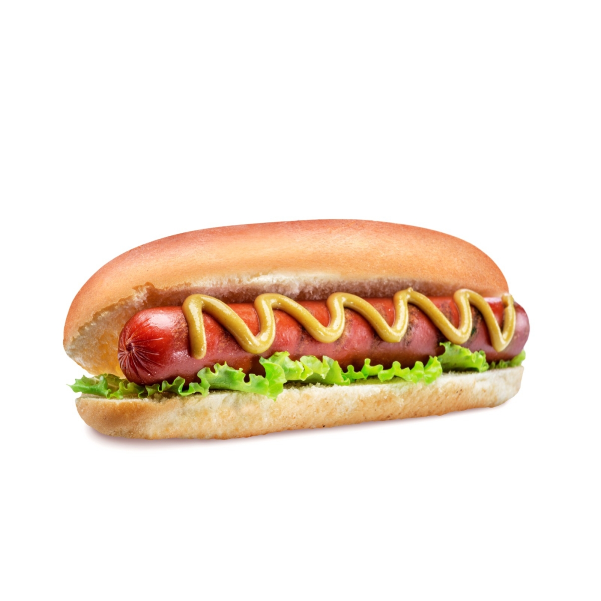 נקניקיה בלחמניה